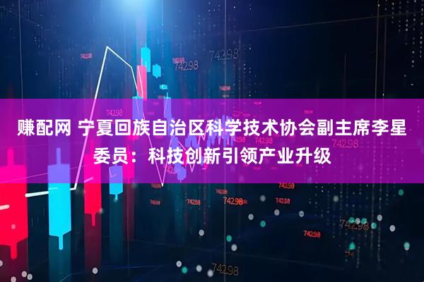 赚配网 宁夏回族自治区科学技术协会副主席李星委员：科技创新引领产业升级