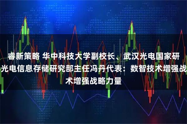 睿新策略 华中科技大学副校长、武汉光电国家研究中心光电信息存储研究部主任冯丹代表：数智技术增强战略力量