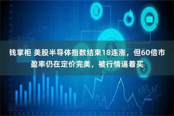 钱掌柜 美股半导体指数结束18连涨，但60倍市盈率仍在定价完美，被行情逼着买