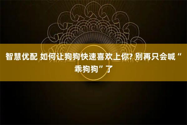 智慧优配 如何让狗狗快速喜欢上你? 别再只会喊“乖狗狗”了