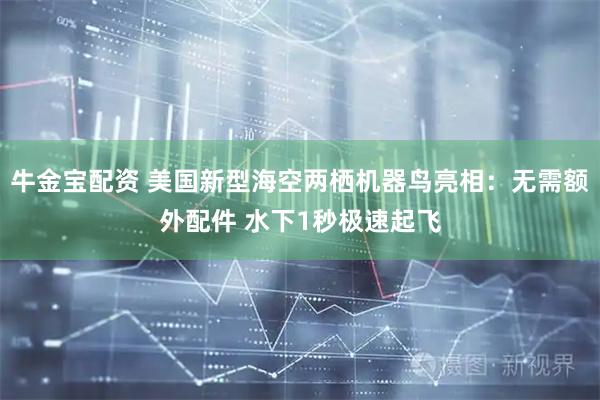 牛金宝配资 美国新型海空两栖机器鸟亮相：无需额外配件 水下1秒极速起飞