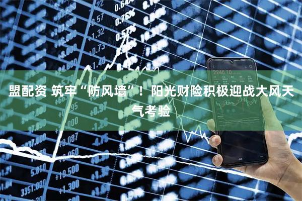 盟配资 筑牢“防风墙”！阳光财险积极迎战大风天气考验